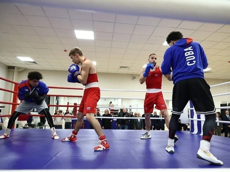 Вологодские спортсмены завоевывают высокие награды как на местном уровне, так и на международном