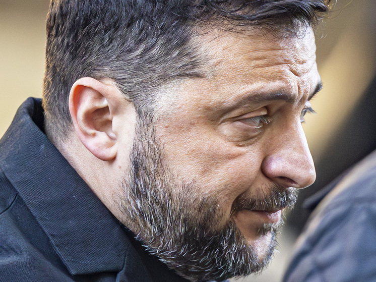 В сериале "Слуга народа" предсказали бегство коррупционера Миндича