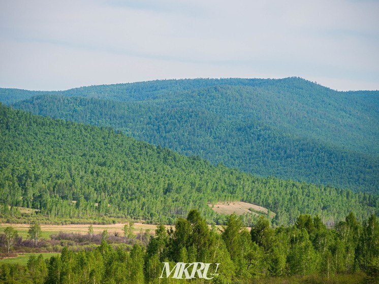 Компания «Автотрак» незаконно использовала земли в Забайкалье