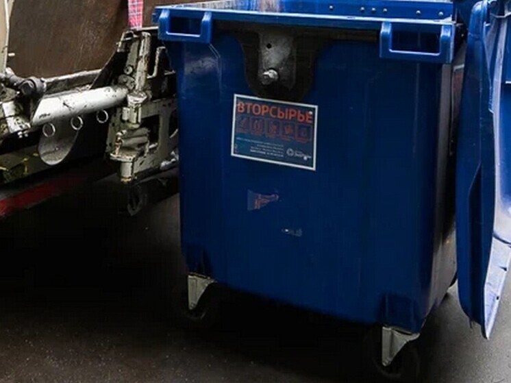 Новогодний мусорный коллапс предлагается исключить