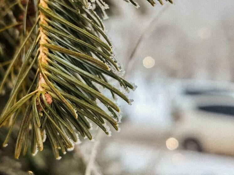 Магнитные бури с 1 по 7 декабря могут повлиять на здоровье хабаровчан