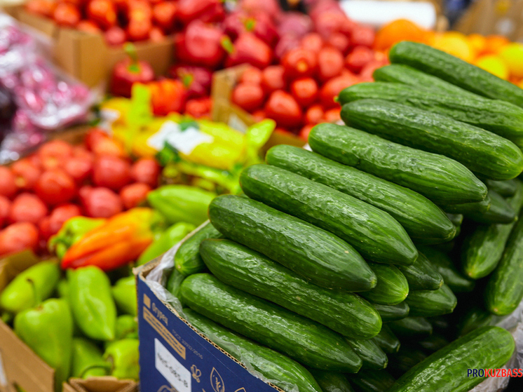 Более 300 тонн опасных продуктов привезли в Кузбасс