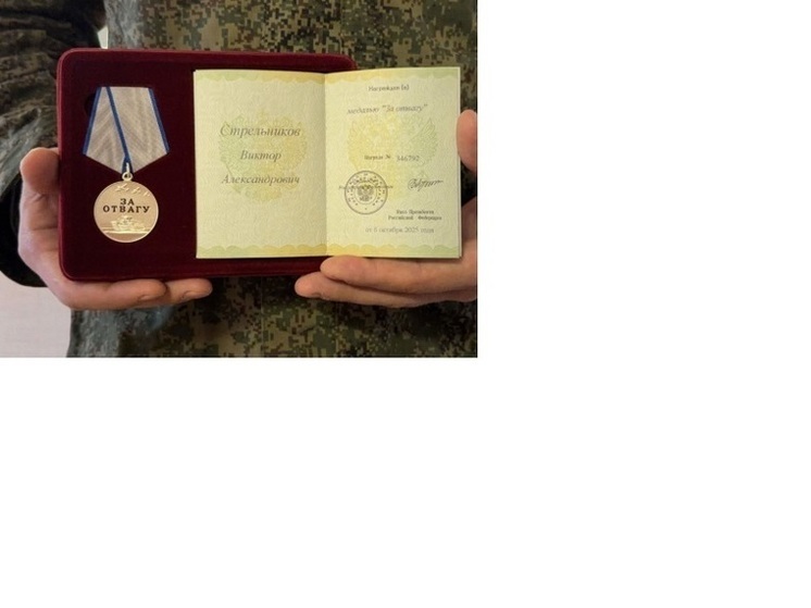 Новосибирский депутат Виктор Стрельников награждён медалью «За отвагу»