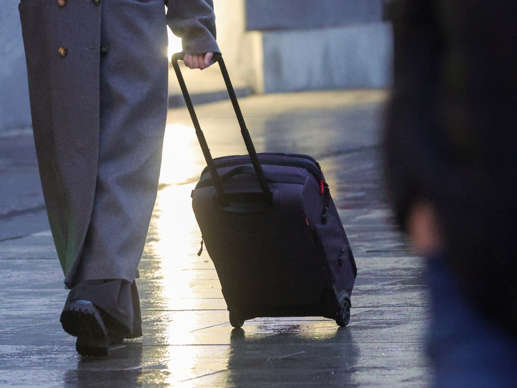 В Новой Зеландии вынесен приговор женщине, хранившей детские останки в чемоданах