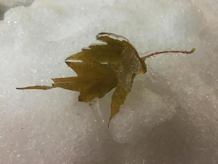 Во вторник в Воронежской области возможен снег и гололед