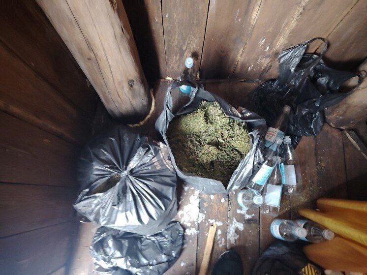 Для личного употребления? Хабаровский пенсионер хранил килограммы марихуанны дома