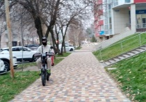 Губернатор Ставропольского края Владимир Владимиров на еженедельном совещании в краевом Правительстве дал поручение о создании рабочей группы, которая займется выработкой решений по регулированию использования средств индивидуальной мобильности (СИМ) в регионе