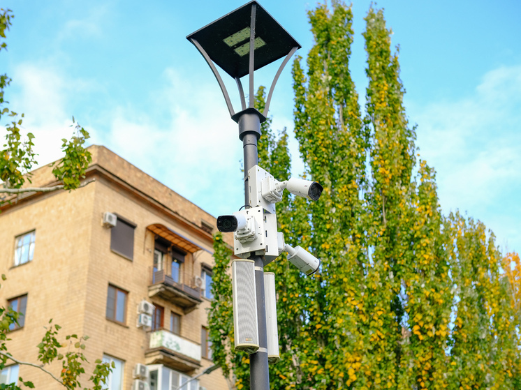 Волгоградцы могут лишиться крупой суммы после установки бесплатного антирадара