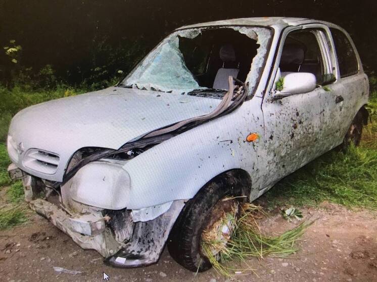 Новосибирскую водительницу приговорили к колонии за гибель пассажира в пьяном ДТП