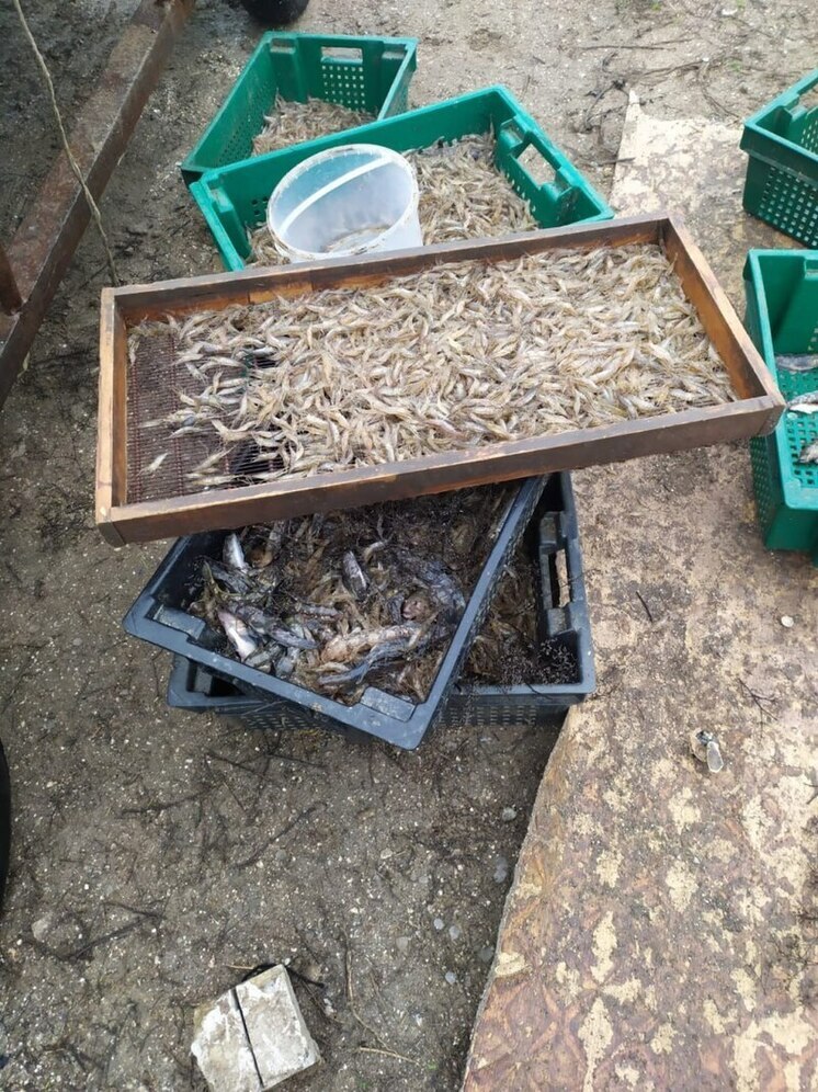 В ДНР поймали нелегального рыбака