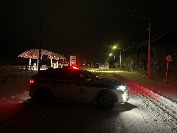 На Сахалине за сутки задержали 11 водителей без прав