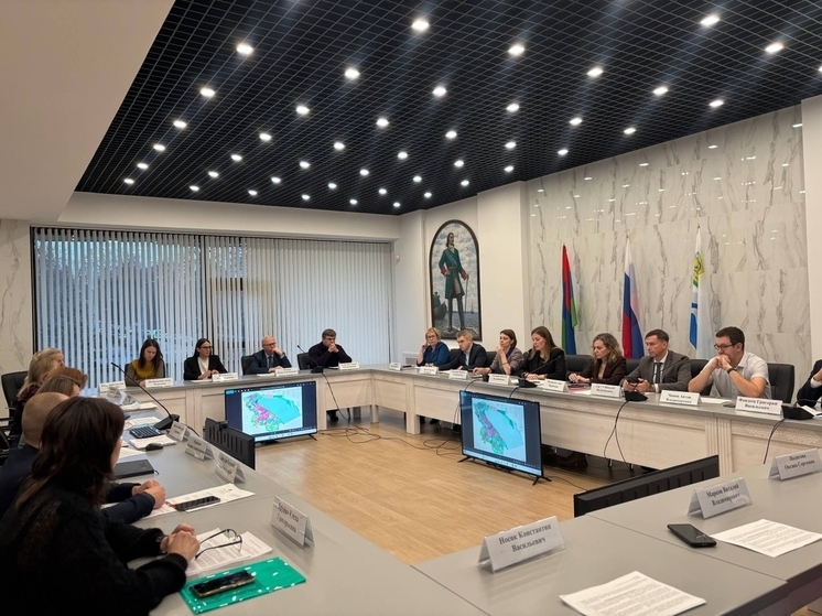 Обновлённый вариант Генплана Петрозаводска будет подготовлен после публичных слушаний