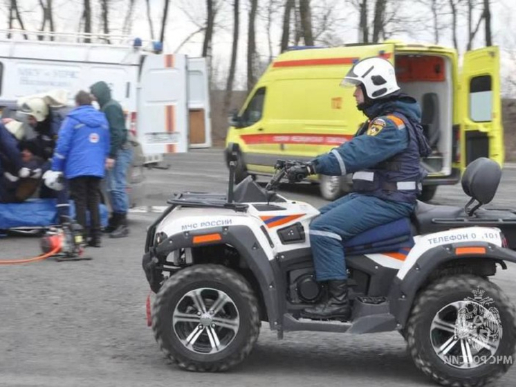 В Ростовской области за сутки произошло 11 пожаров