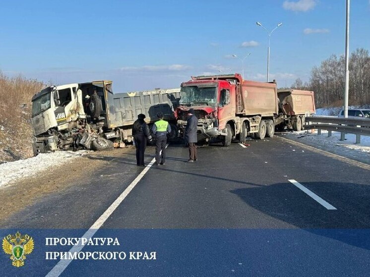 Прокуратура Приморья контролирует расследование смертельного ДТП на трассе «Уссури»