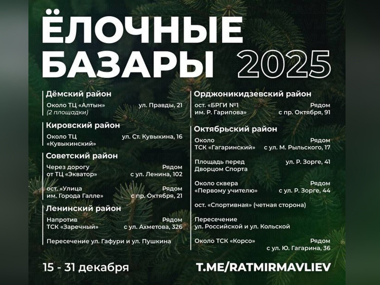 Елочные базары в Уфе откроются 15 декабря