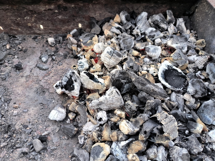 В Амурской области выявили незаконную добычу угля