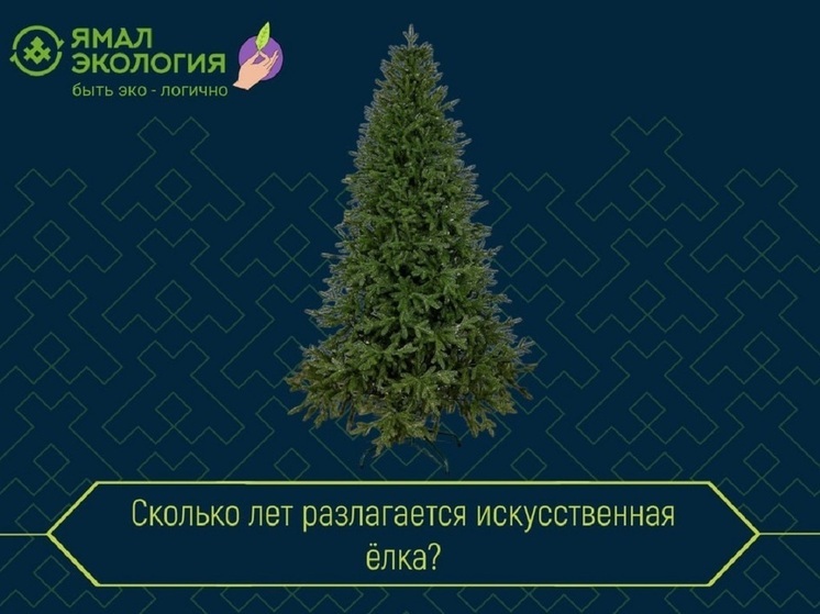 Нарядить кактус на Новый год и сдать искусственную ель на мастер-классы предлагают ямальцам