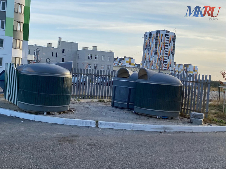 С калужских мусорок вывезли более 1000 кубометров незаконного мусора