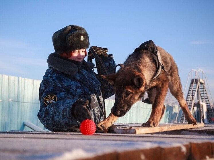 Пять щенков пополнили ряды кинологической службы УФСИН по Якутии