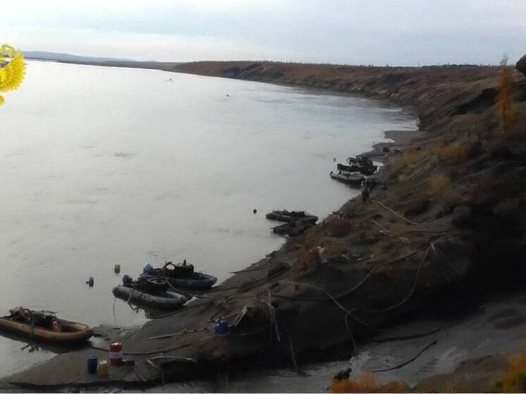 Мамонтовая фауна в опасности: прокурорская проверка выявляет нарушения экологического баланса