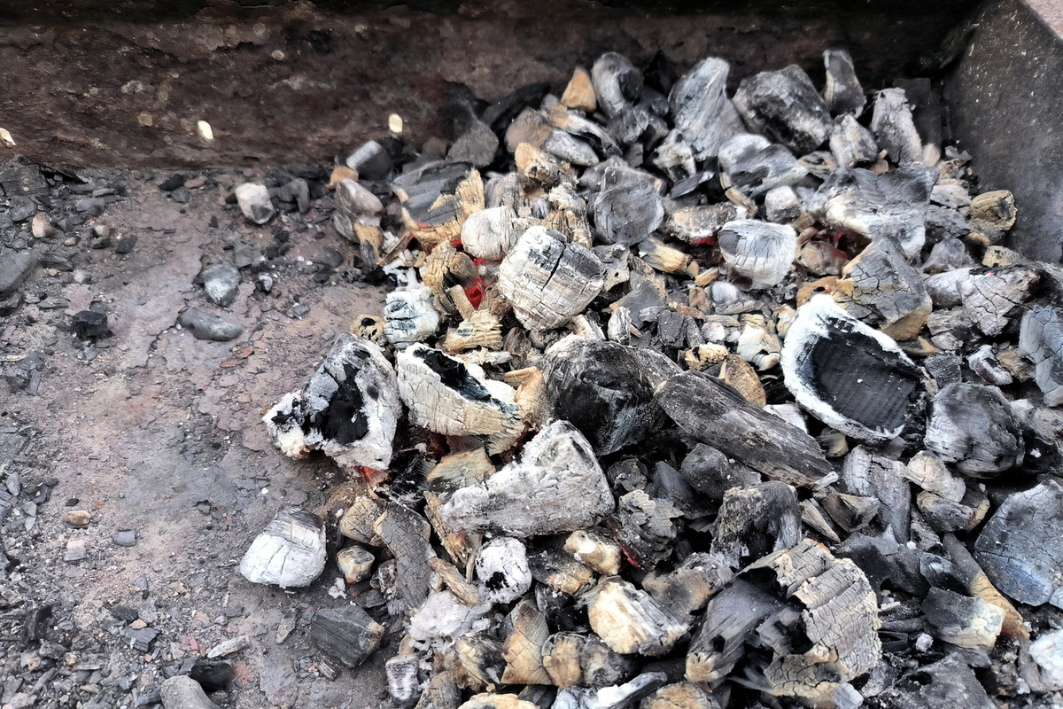 МВД пресекло незаконную добычу угля в Приамурье