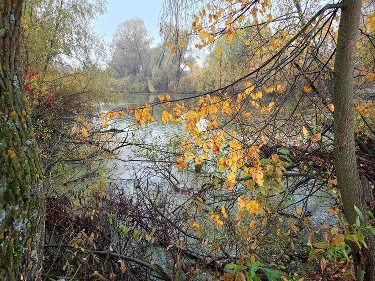 Штраф за мусор у ручья: в Пензе пресекли нарушение экологических норм
