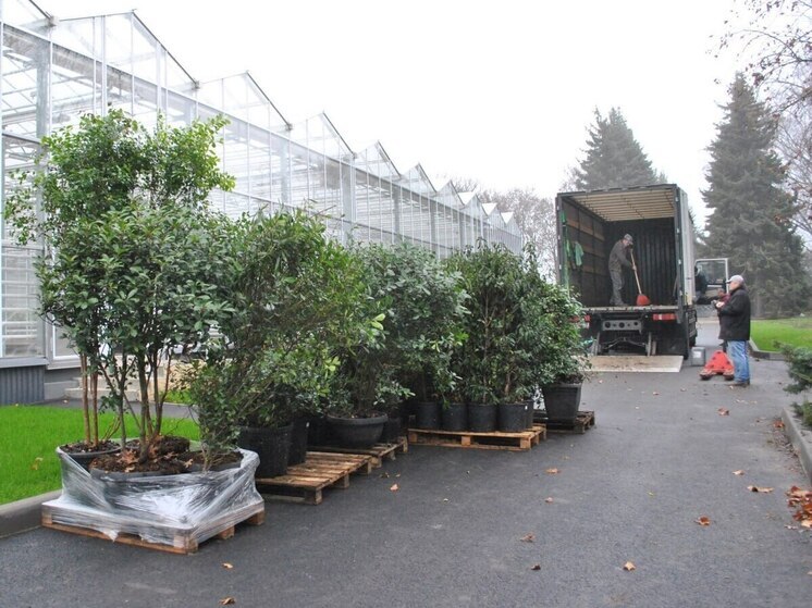 Донецкий ботанический сад получил в дар 88 редких и декоративных растений