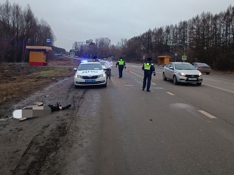 На трассе Чебоксары – Сурское насмерть сбили женщину на пешеходном переходе
