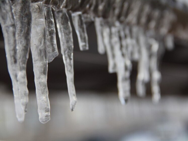 Ленинградцев 2 декабря ожидает оттепель до +4 градусов и дожди