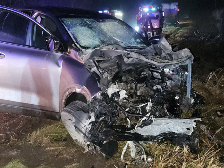 В Чудовском округе столкнулись две иномарки