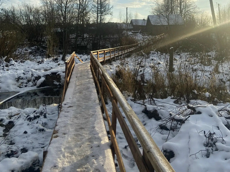 В Любытино по просьбе жительницы заменили мостки через реку Забитница