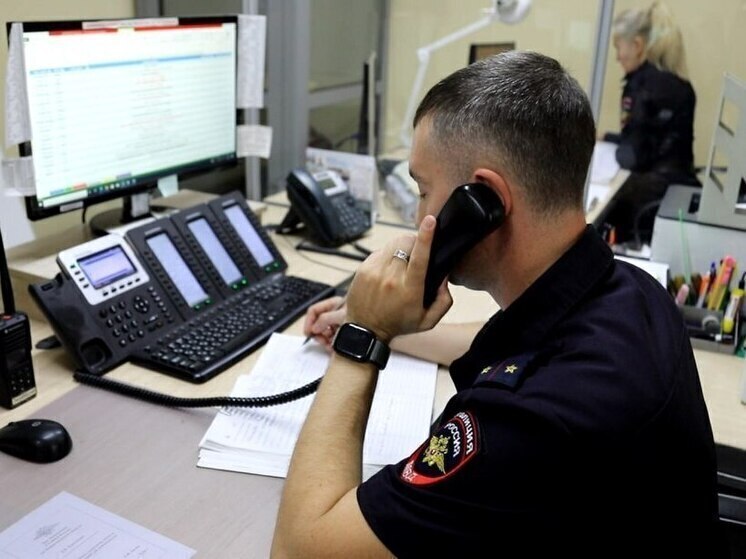 16-летняя нижегородка попала под «уголовку» за дропперство