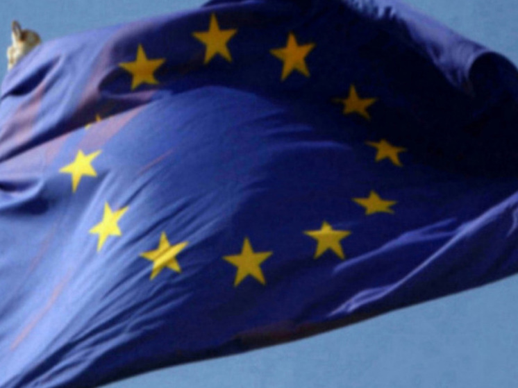 Профессор Дизен: ЕС планирует перевооружить Украину, пока РФ не проиграет