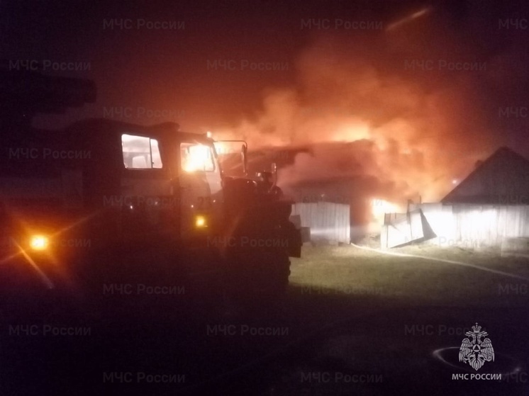 Девять спасателей тушили ночной пожар в сухиничском селе