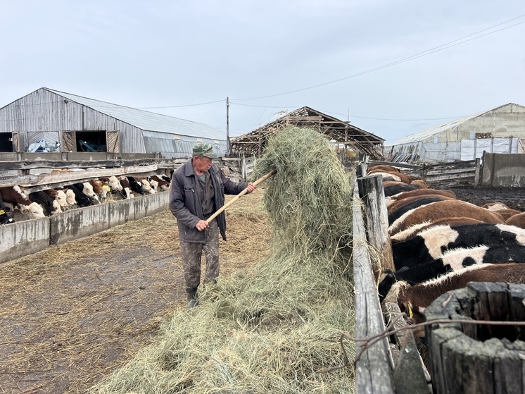 Инвестиции в технику помогают АПК Бурятии ставить рекорды