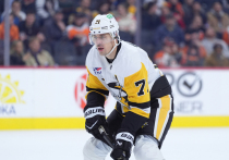 Активнее всех с точки зрения результативности Всероссийский день хоккея в Северной Америке отметили: ветеран клуба «Питтсбург Пингвинз» Евгений Малкин и молодой защитник «Анахайм Дакс» Павел Минтюков