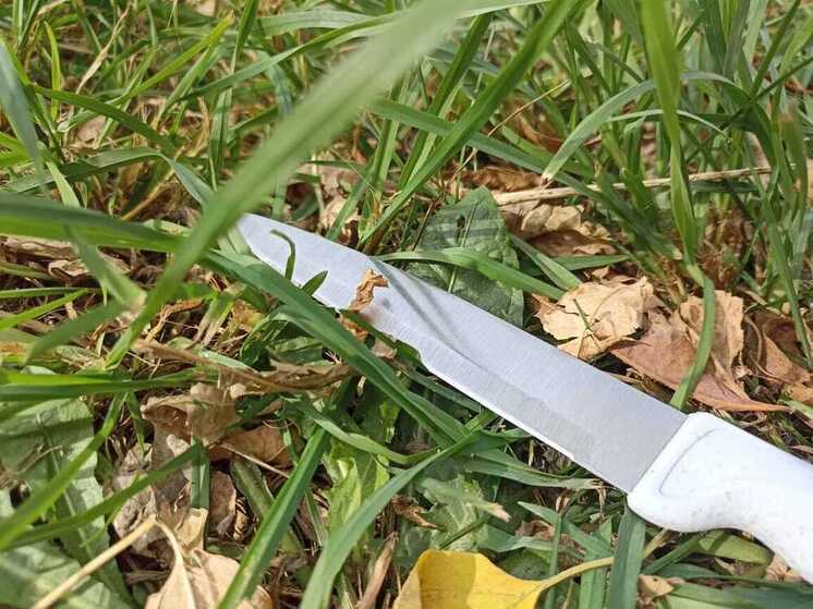 Пьяный петербуржец размахивал ножом перед подростками на Заводском проспекте