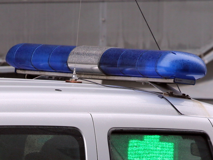 В Петербурге скрутили неадеквата, напавшего на фельдшера скорой помощи