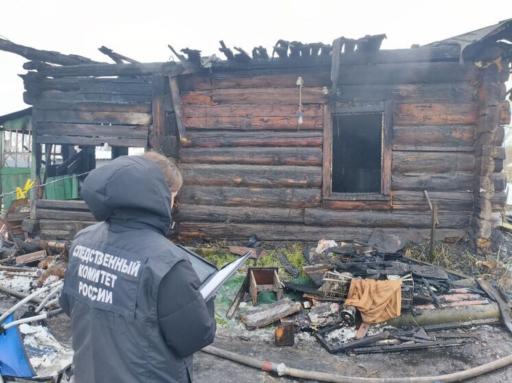 Одному малышу 1,5 года, второму — 2. Двое детей погибли на пожаре в Алтайском крае