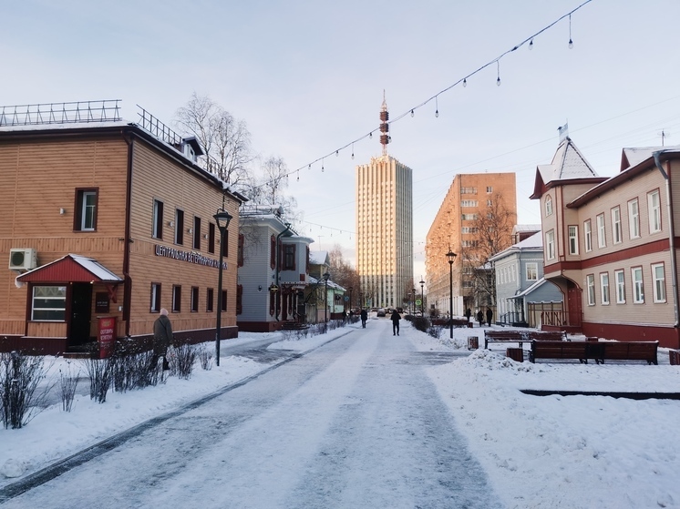 Гидрометцентр прогнозирует теплый декабрь в Архангельской области