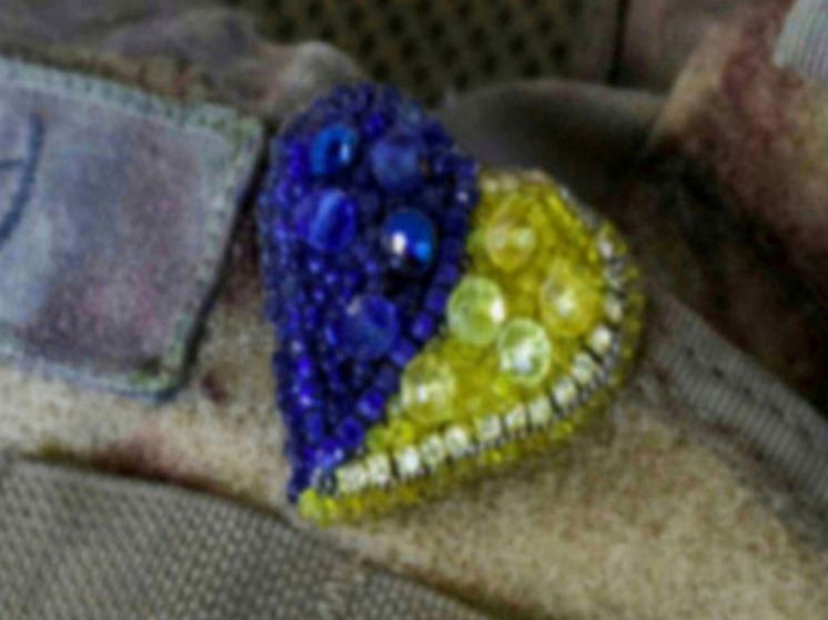 Солодчук: подступы к Красноармейску усыпаны телами солдат ВСУ