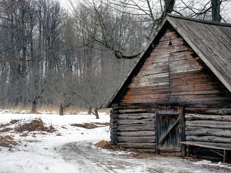 В Росреестре рассказали тулякам, как снять с учёта разрушенный дом