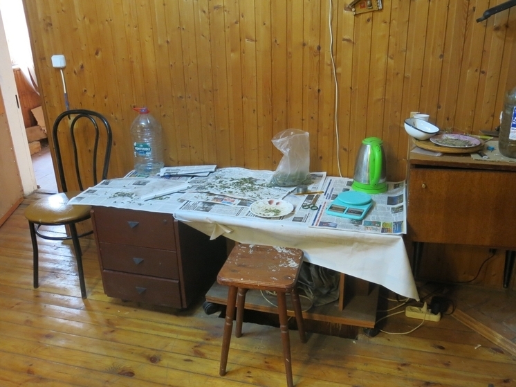 В Петушках двое мужчин выращивали наркосодержащие растения