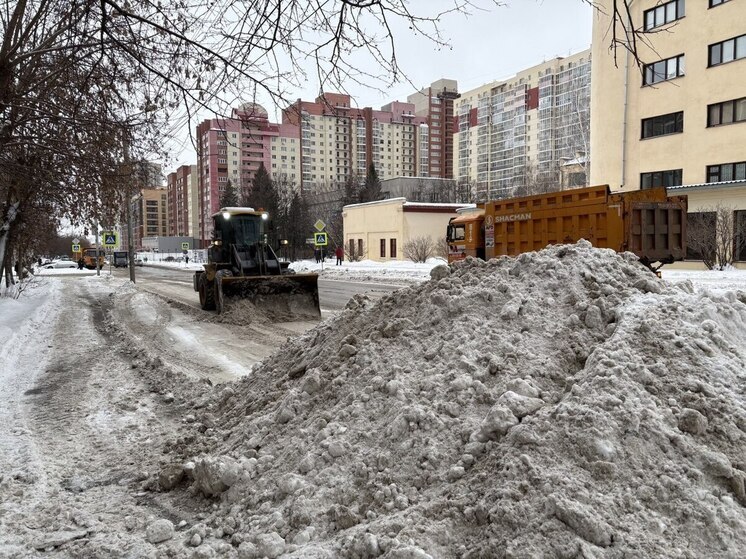 В Новосибирской области задействовано более 660 единиц техники для борьбы со снегом