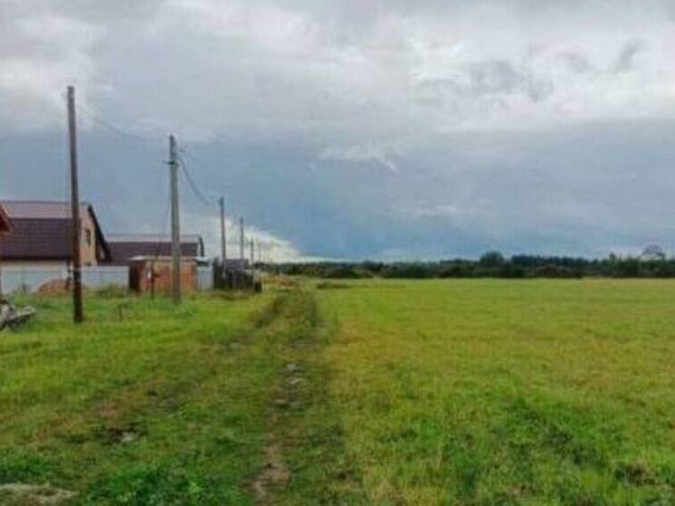 В Волосовском районе появится 210 новых земельных участков для льготников