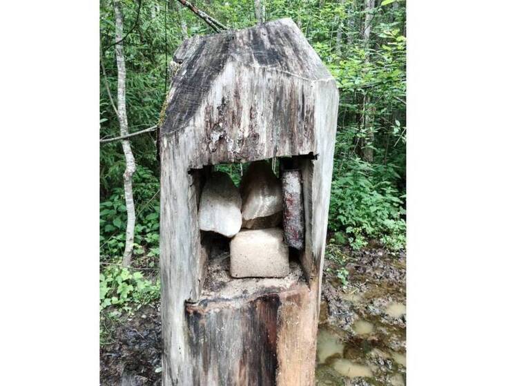 В Вологодских лесах установлено 17 тысяч солонцов для лосей