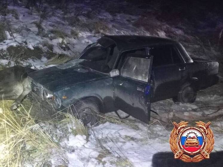 Водитель ВАЗ сбил лося на трассе в Тверской области: пострадали двое