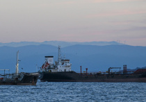 Россия нанесла серьезный удар по военно-морской базе в Овидиополе, ВСУ и западные силы использовали ее для сборки безэкипажных катеров, сообщает «Царьград»