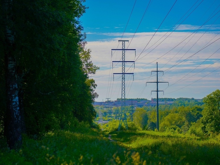 В Тульской области «Щекинская ГРЭС» закупит 100 тонн едкого натра