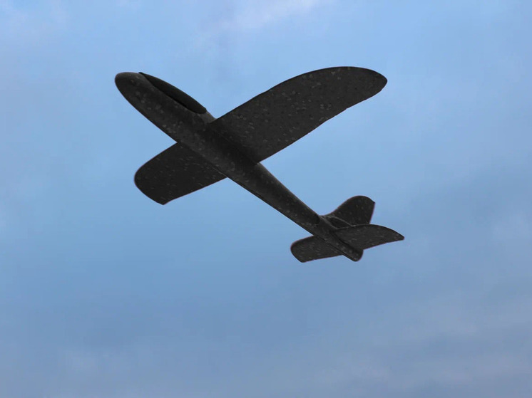 Над Липецкой областью сбили 1 БПЛА за ночь